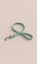 Muted Mint Nylon Dog Leash